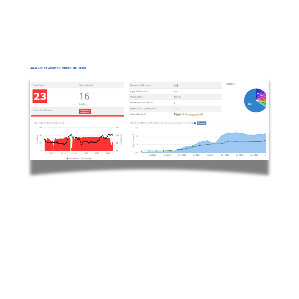 audit netlinking