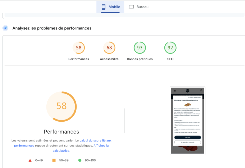 exemple de mauvaise insights seo speed insight